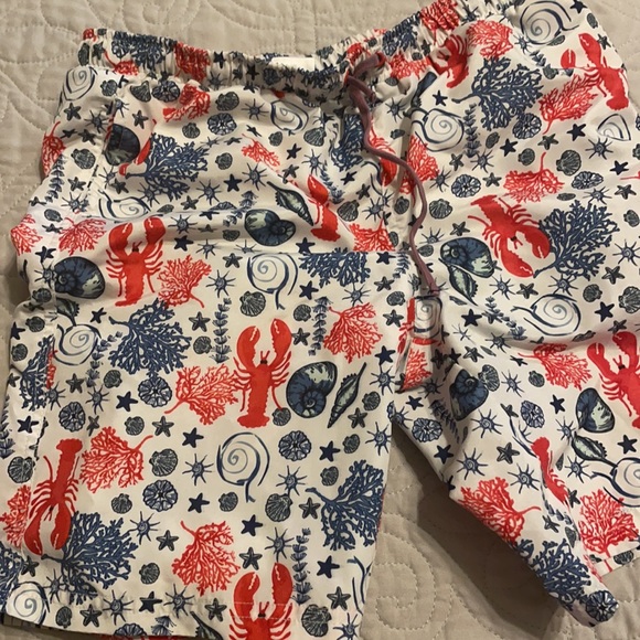 Egg By Susan Lazar Swim Trunks Boys 10 Lobster - Picture 5 of 5